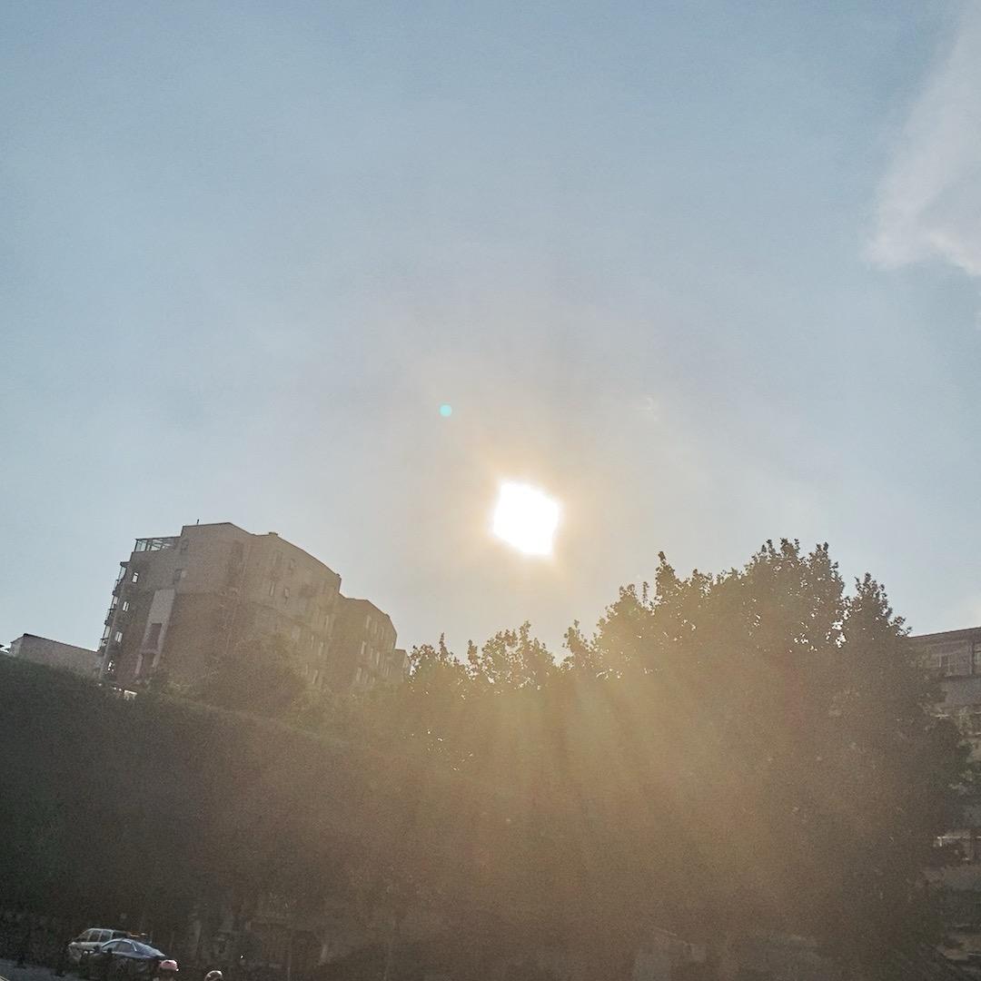 云中雀晁老