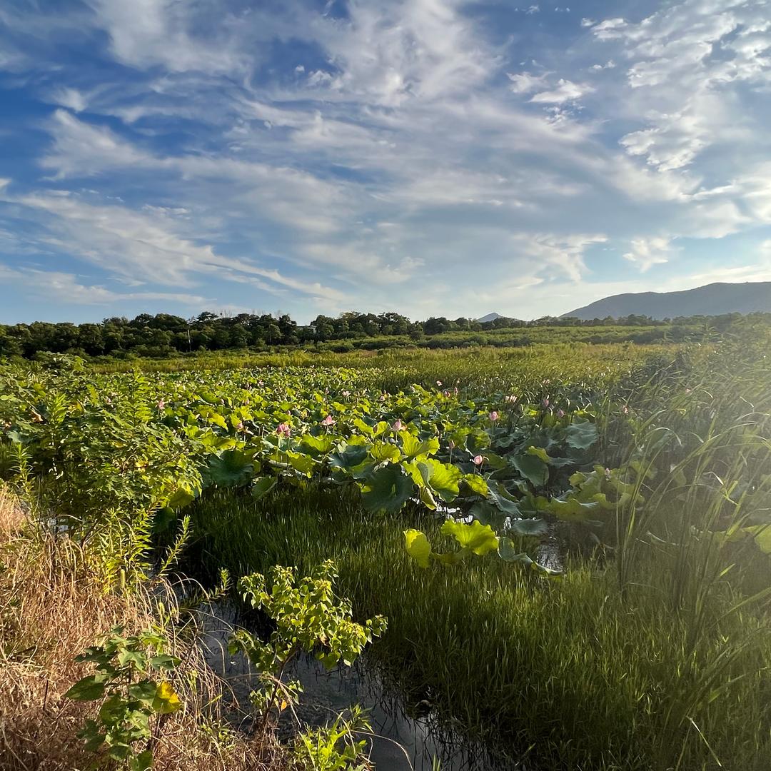 小杨今天很开心