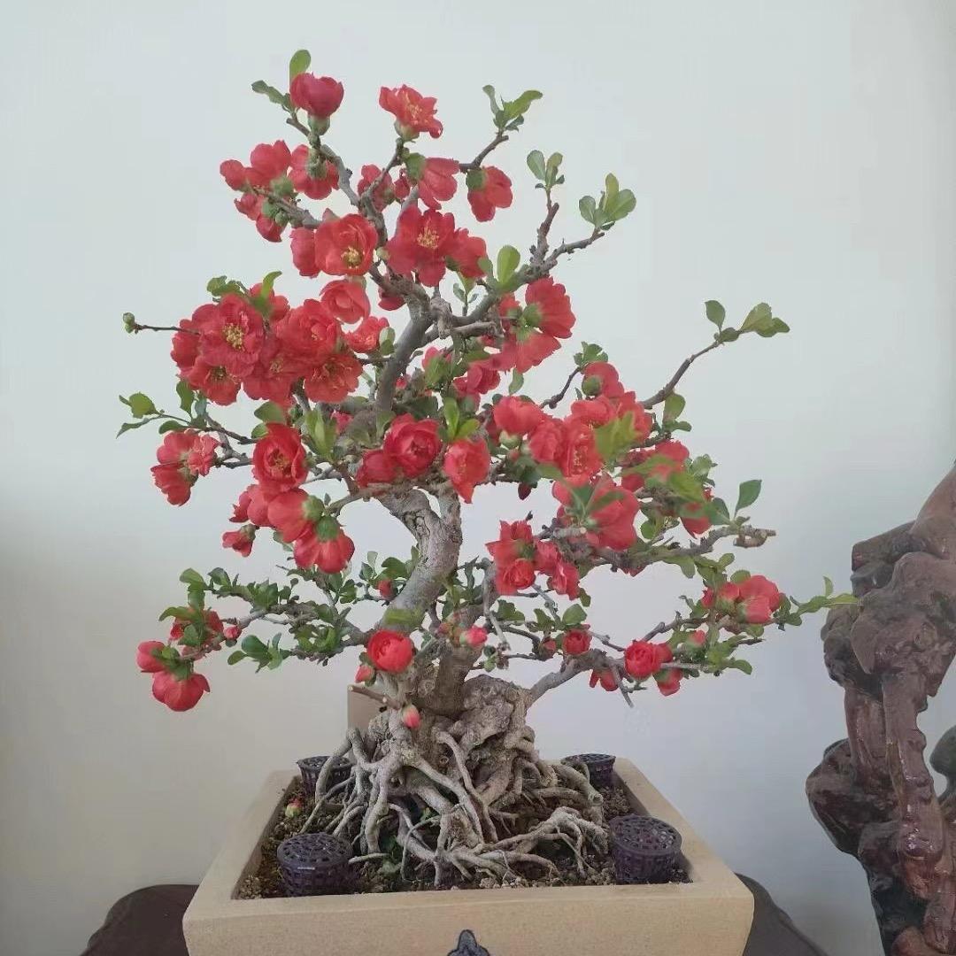 千喜花卉小店