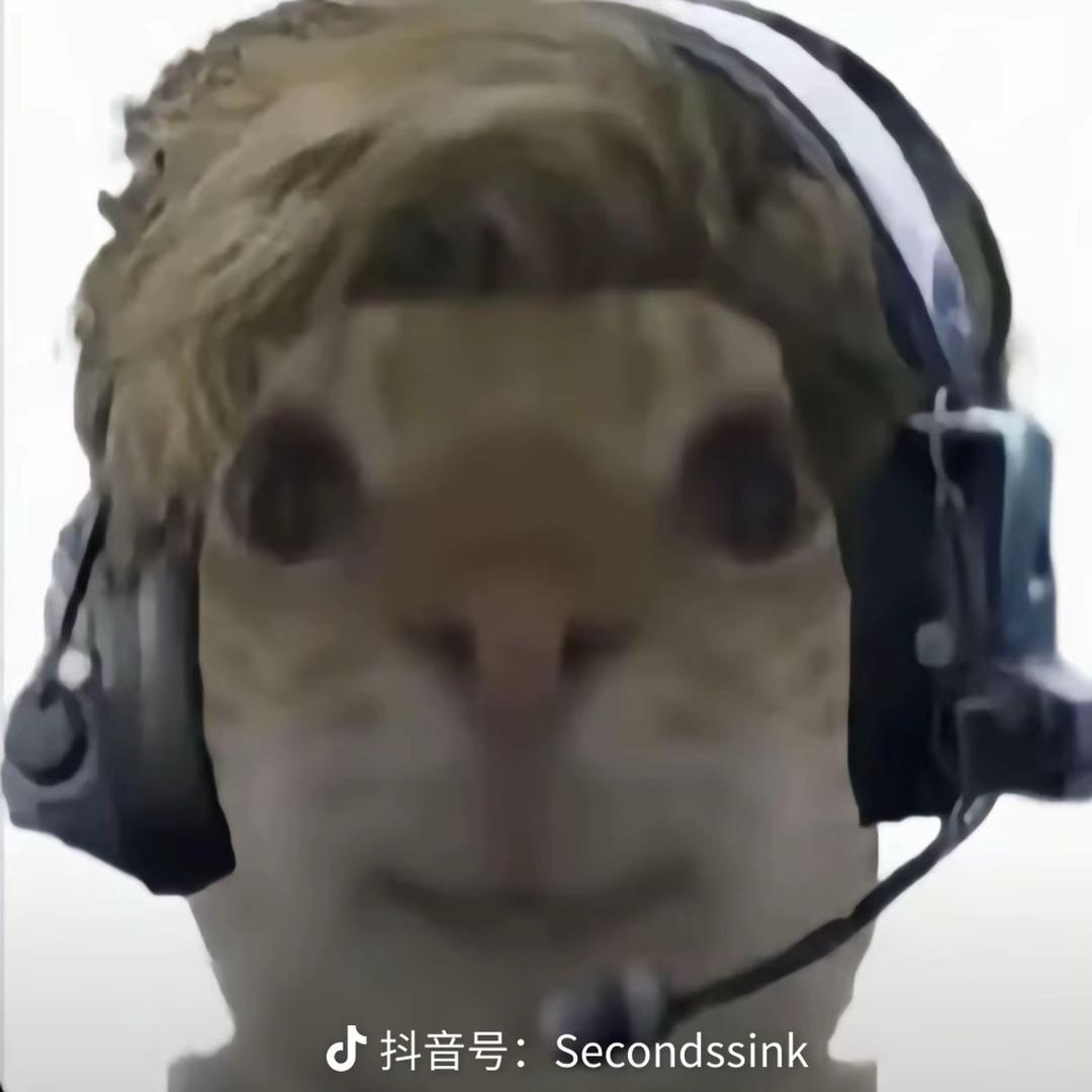 246_