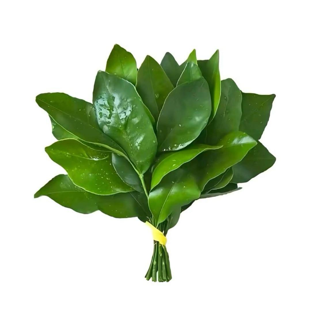 啵᳐啵大王᳐੭゙