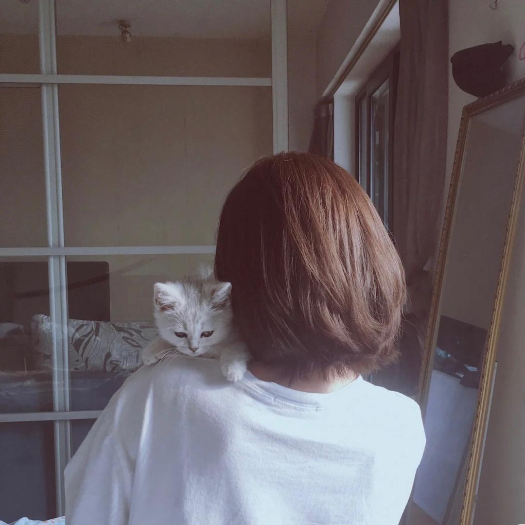 美美儿