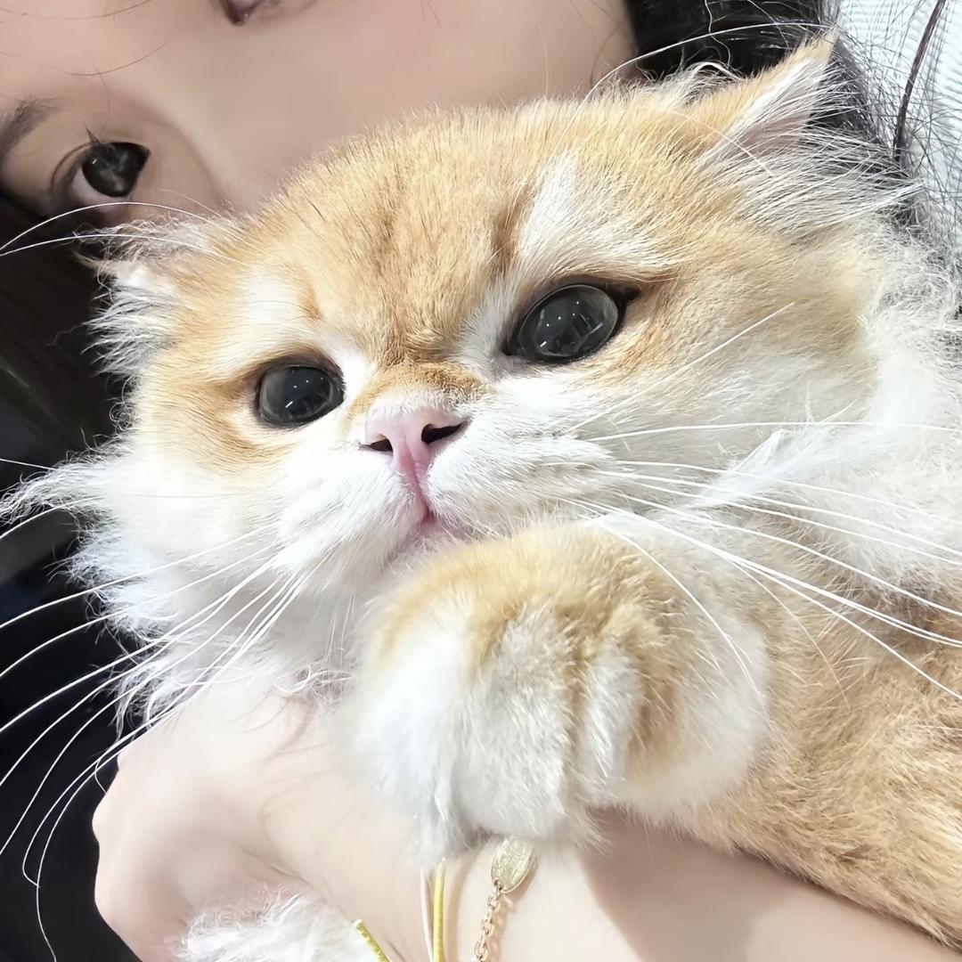 FFF