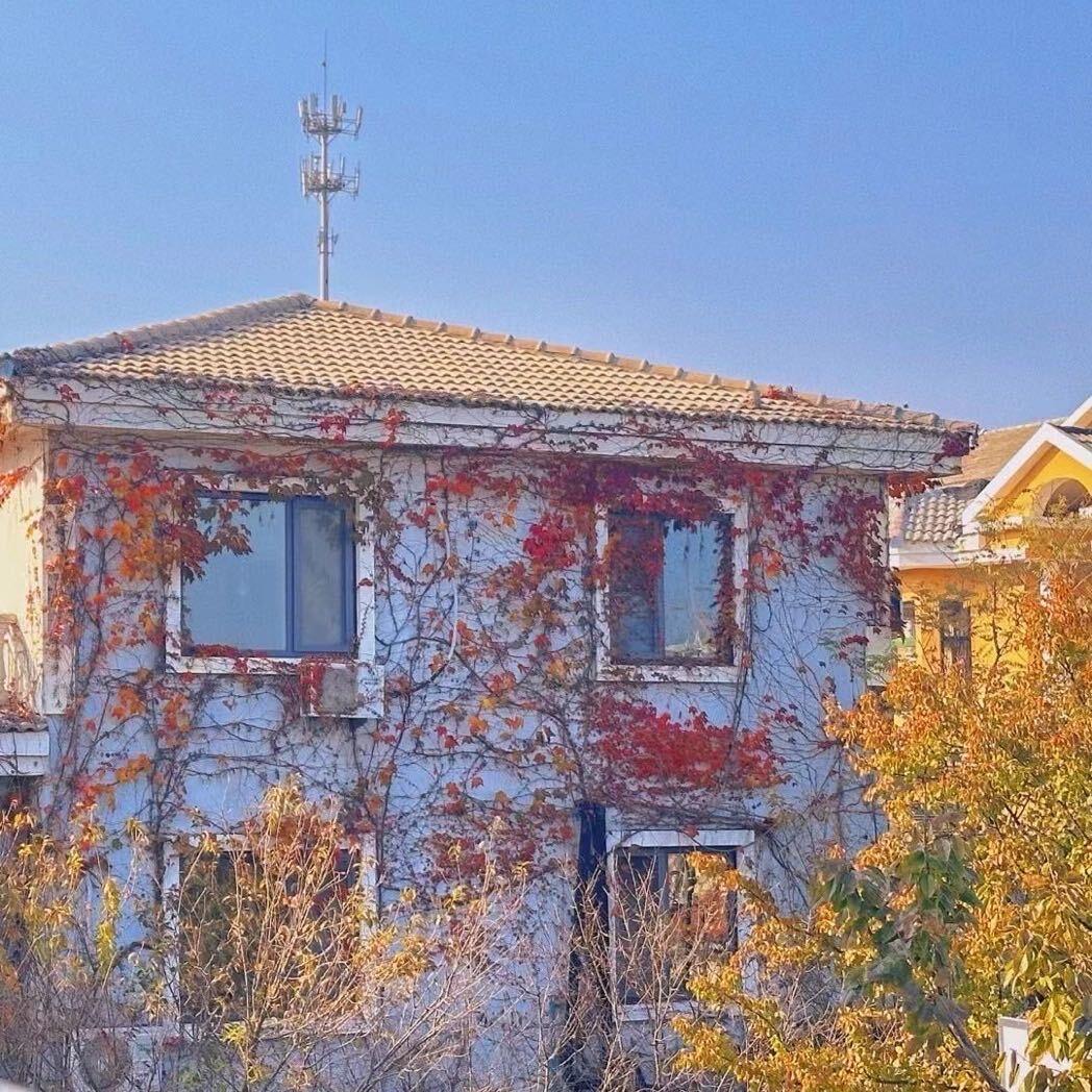 至诚uu小助理