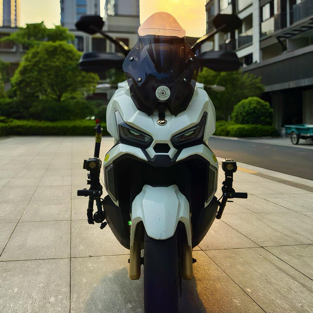 樟钱(GX品质鉴定中）