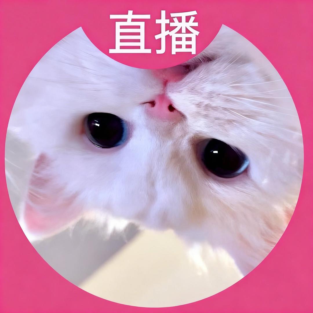 尤猫————