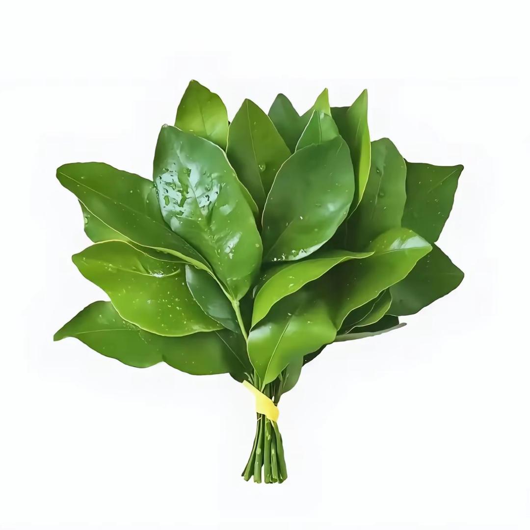 uuu9