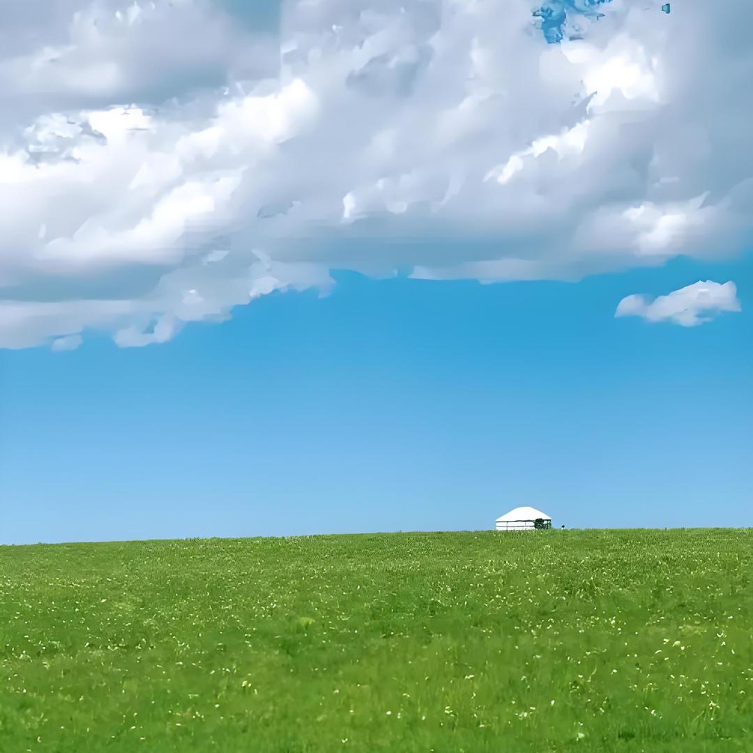 那日苏严选市集