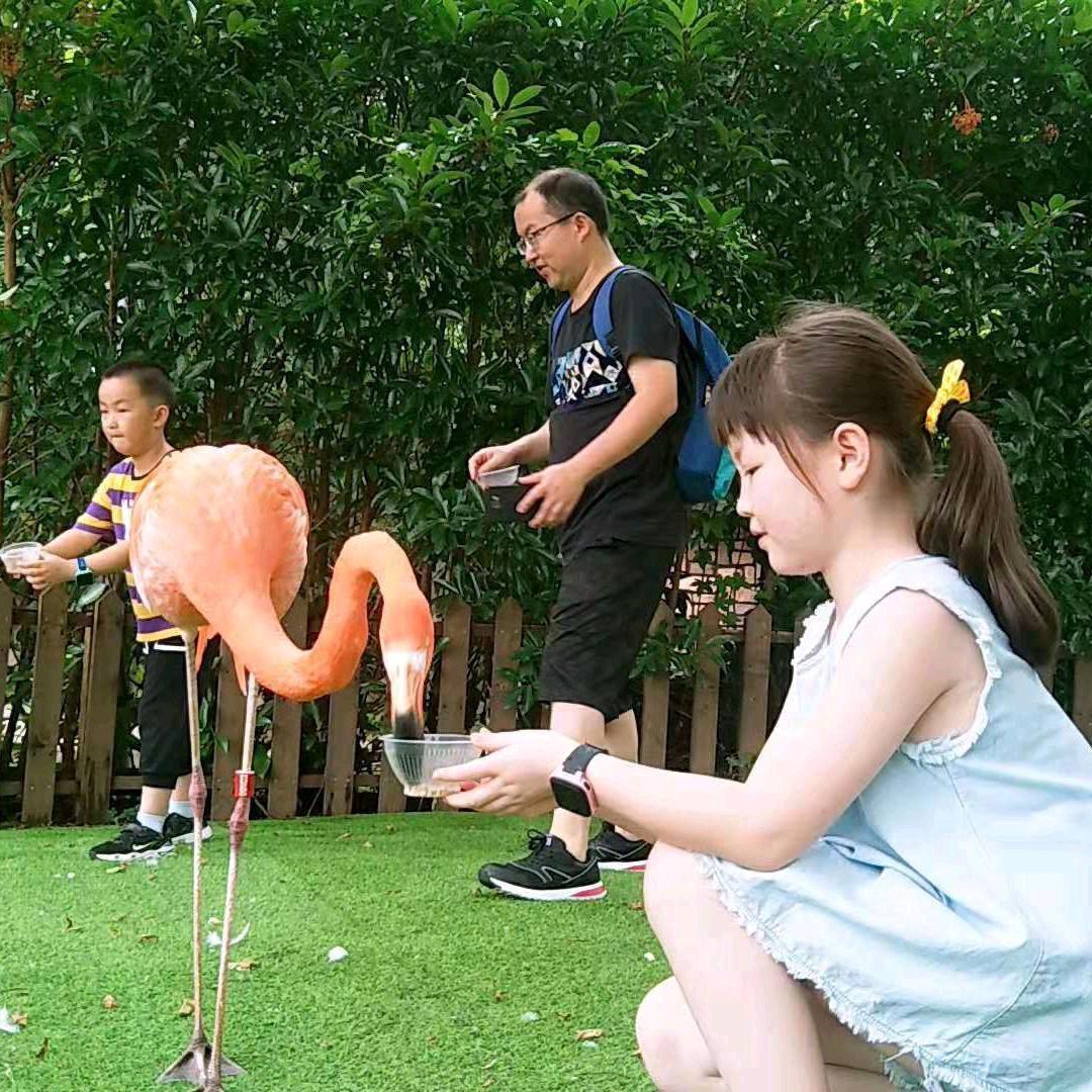 @苏千