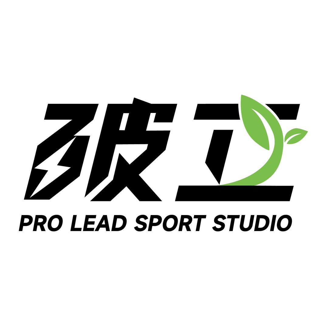 会飞的Sao猪