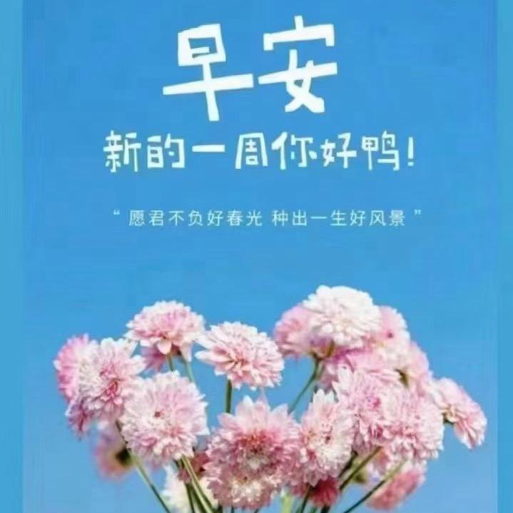 不吃香菜