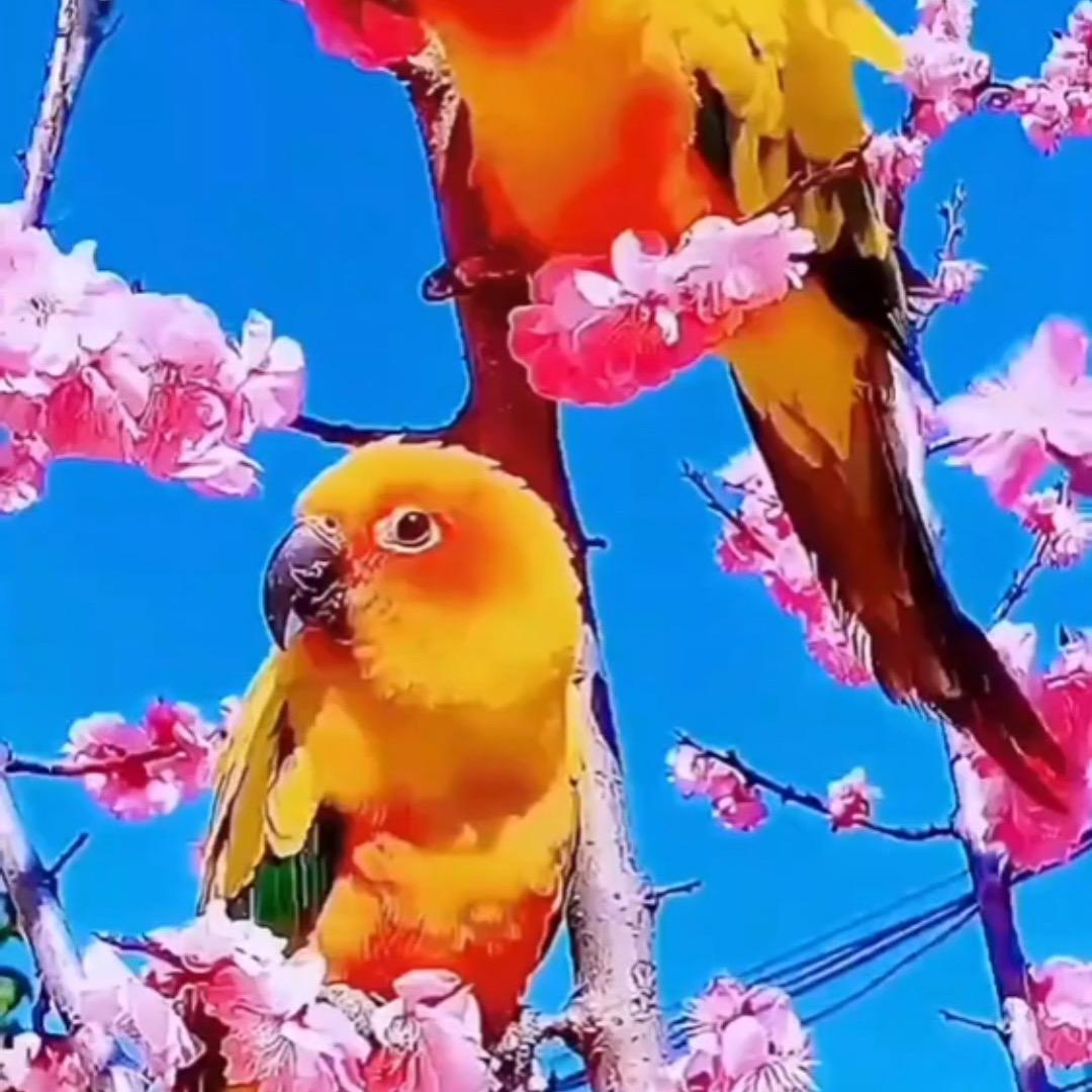 月是故乡明