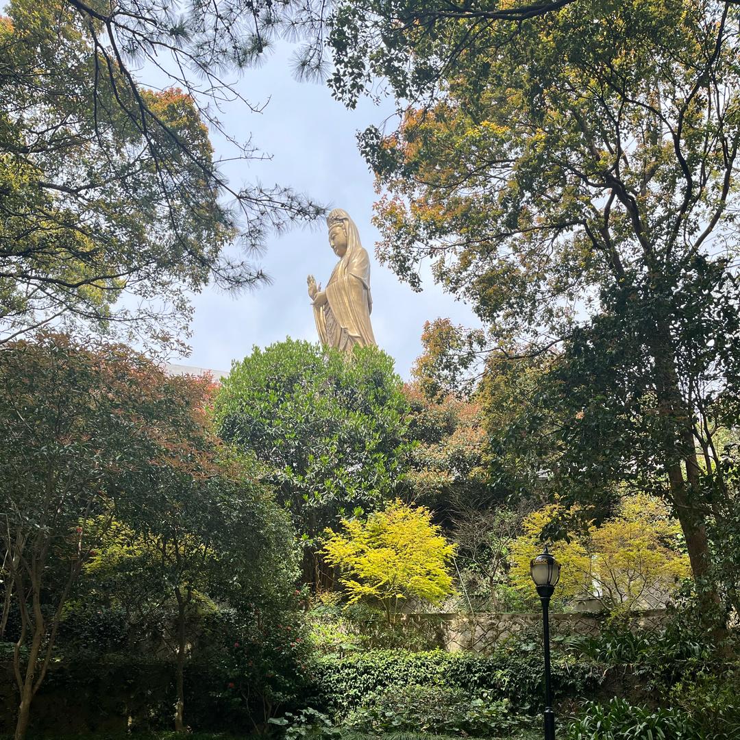 招财💰⁽⁽ଘ😇ଓ⁾⁾