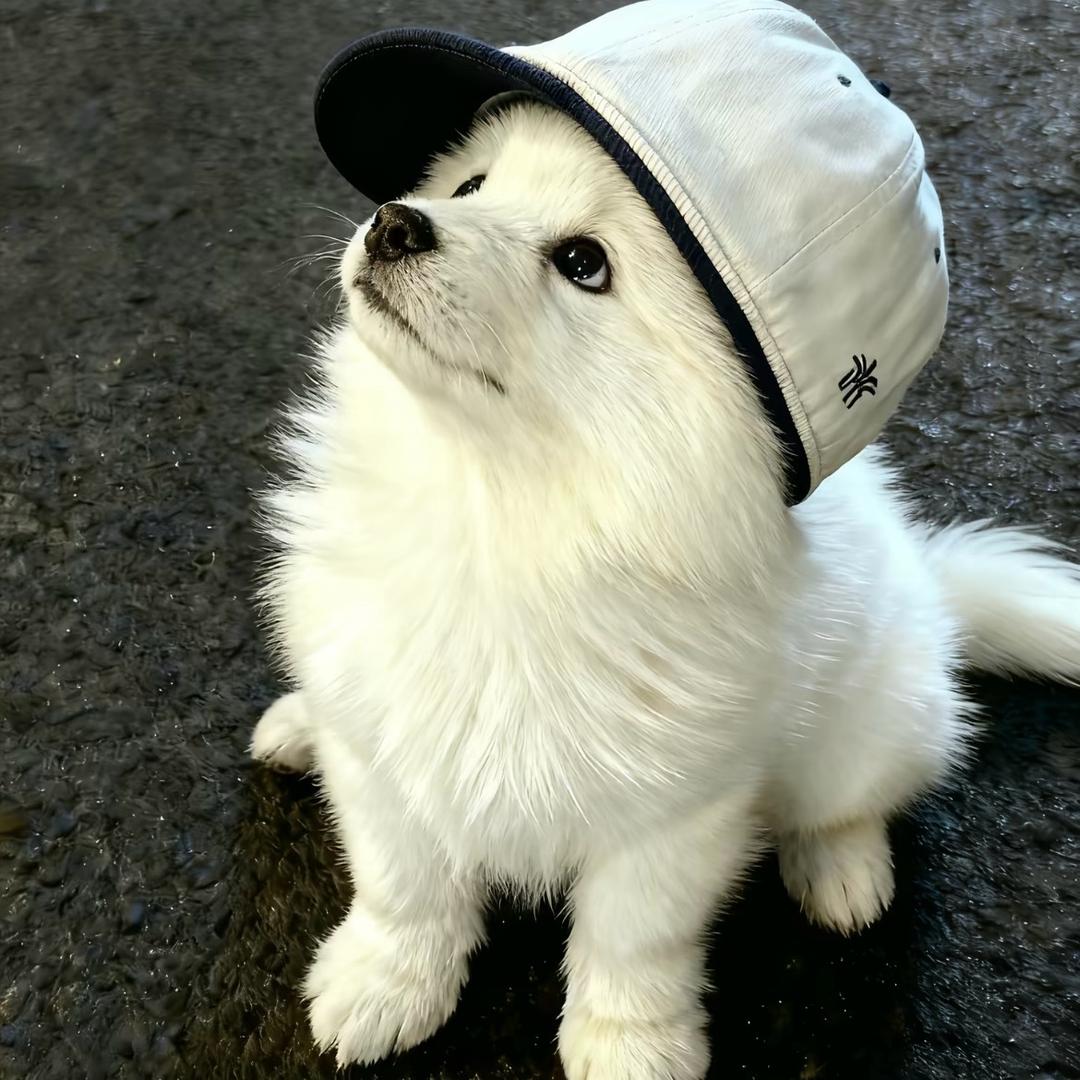 糖心蛋🫧