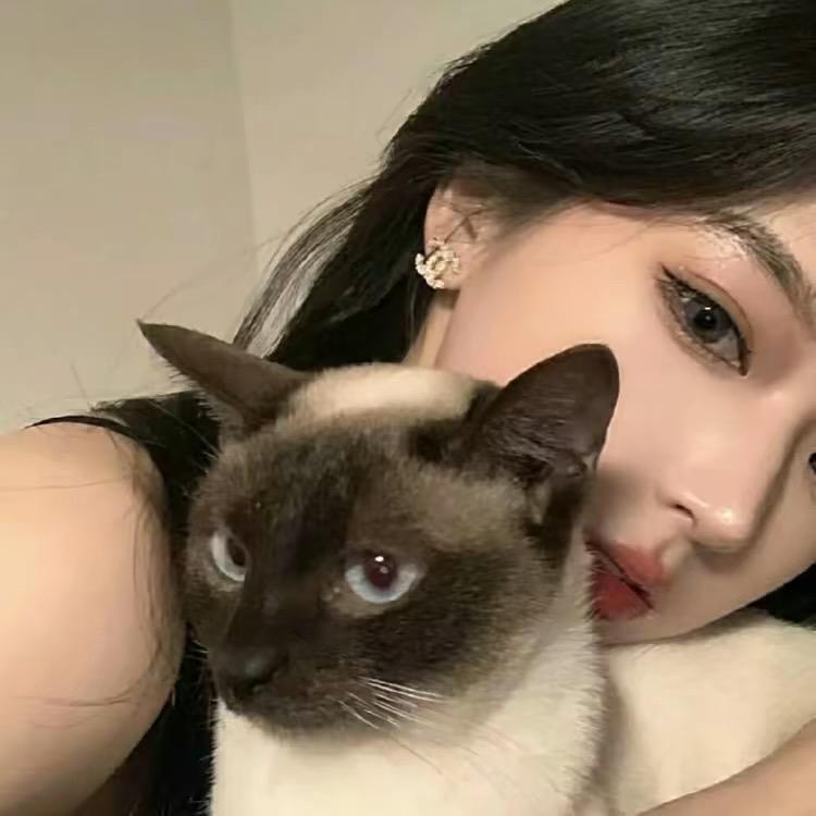 小太阳niki.