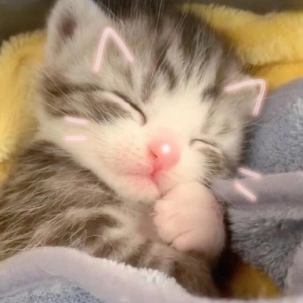 ꉂ  • ༚ • ིྀต੭