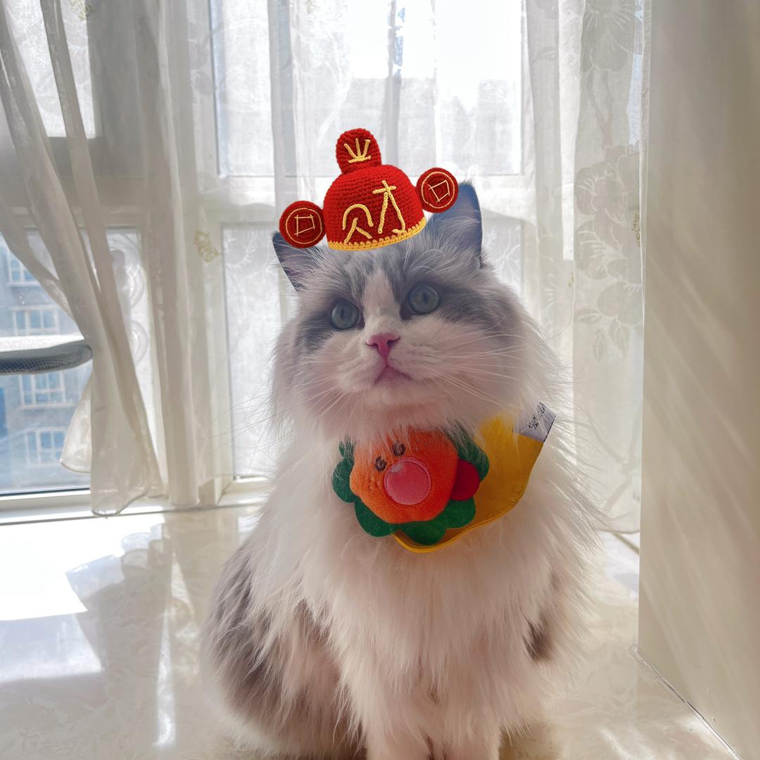 天蝎座♏️小魔女(拒绝连赞)