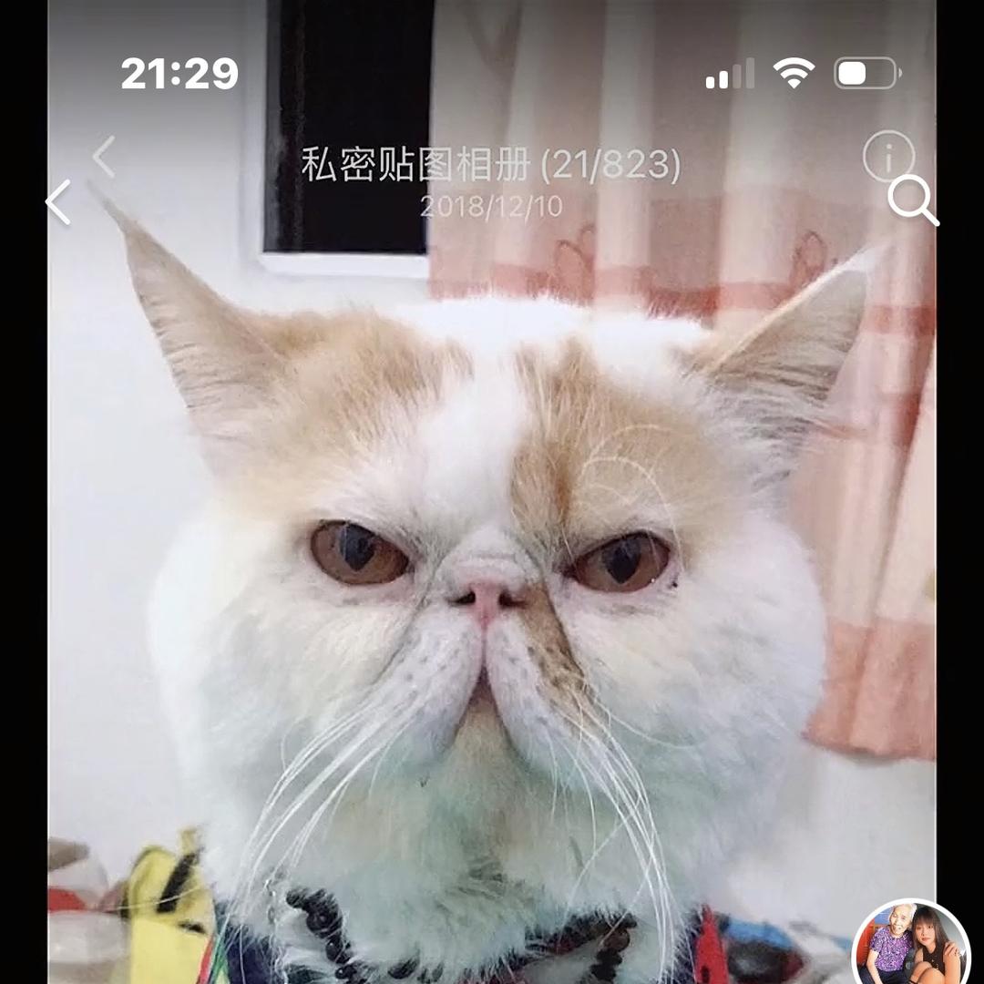 湘潭同城鞋净洗鞋馆