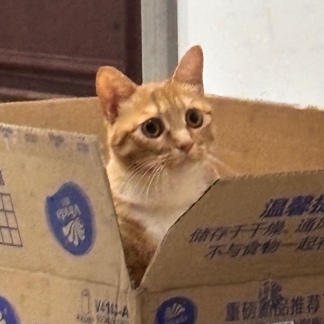 是小张吖✨（见过王源版）