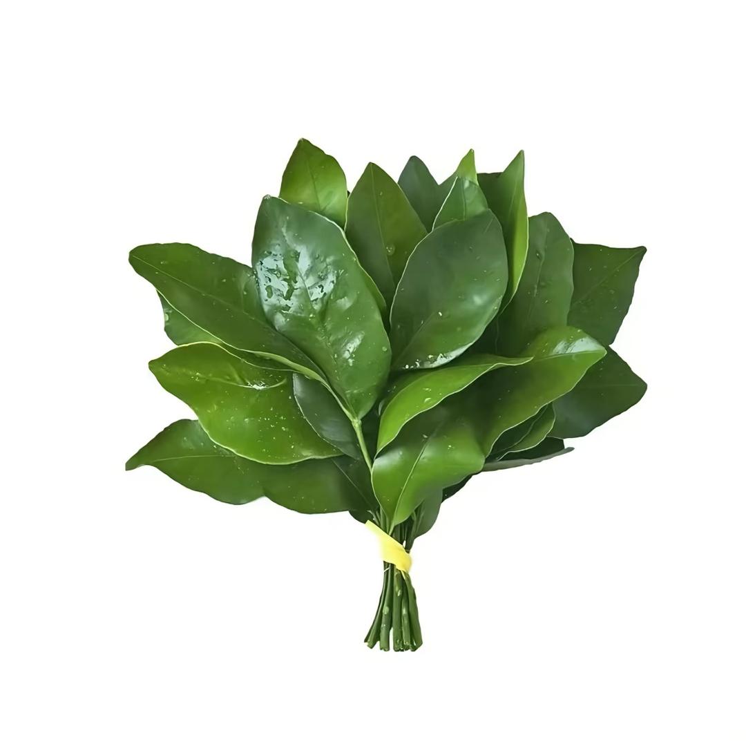 要吃土豆泥