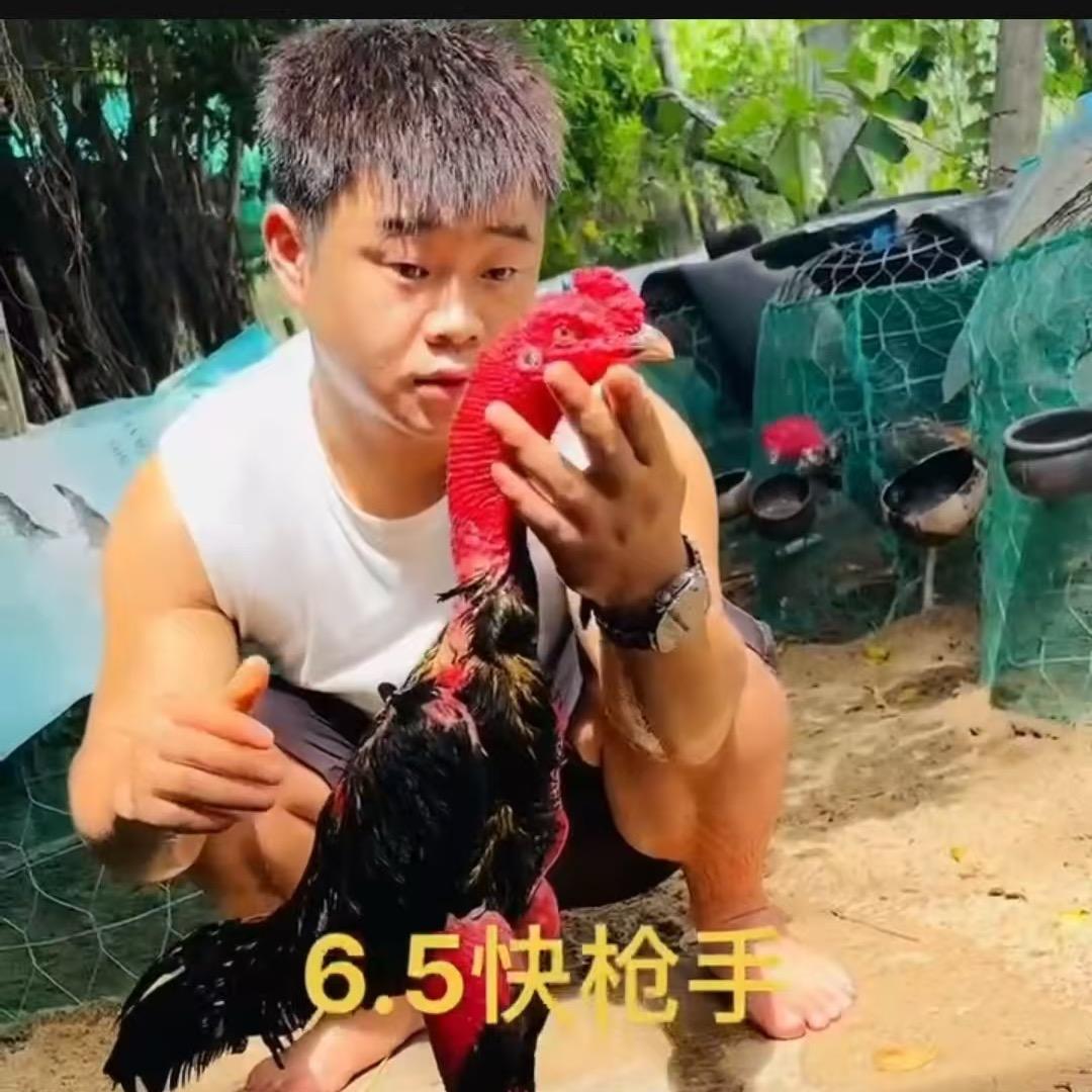 二炮战队（二炮精选）