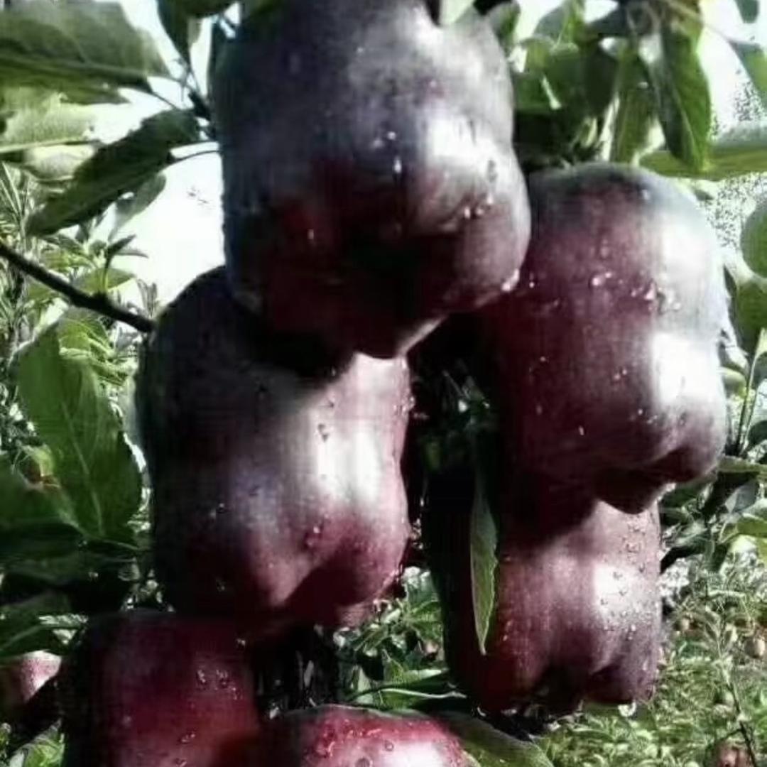 甘肃鑫润丰优选