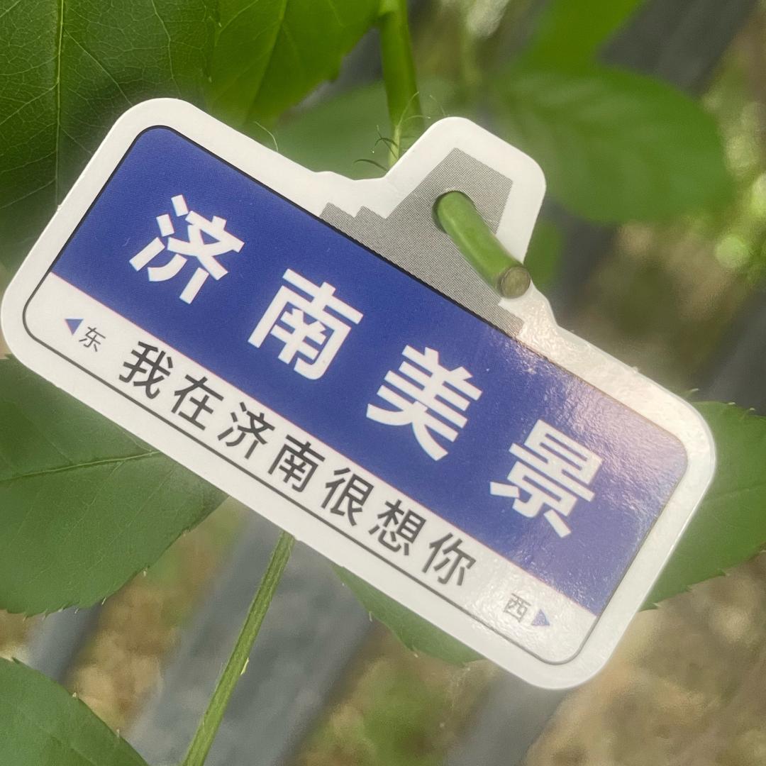 仙女不讲李