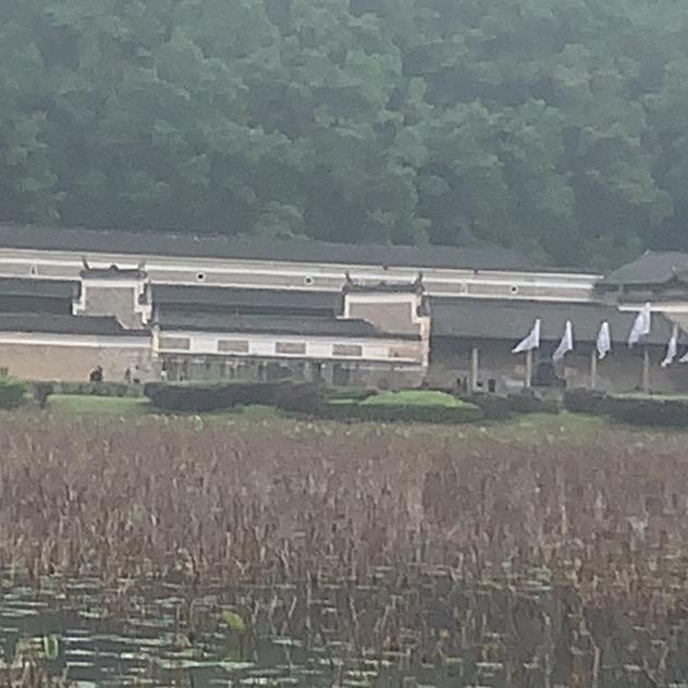 捉虎！别跑