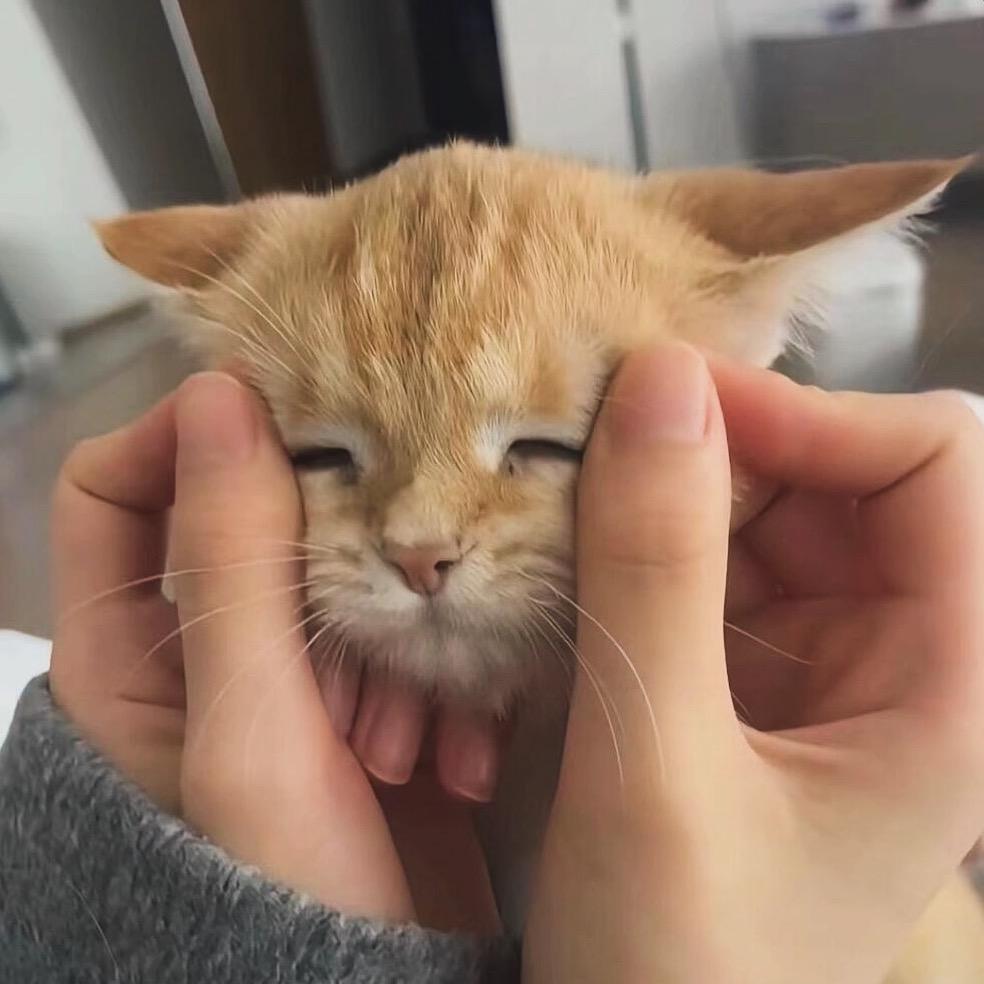丸。