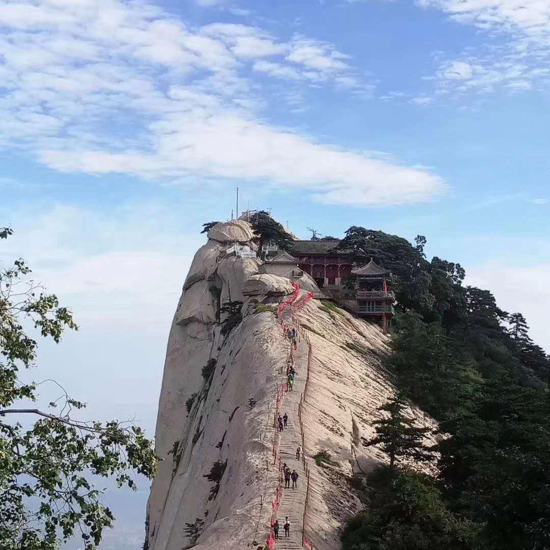 忠肝义胆头像