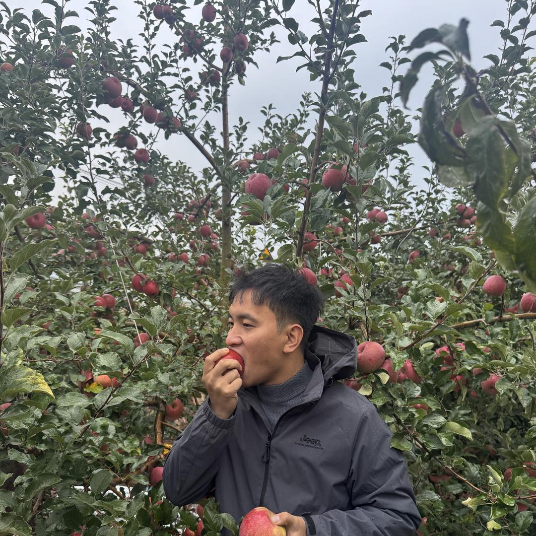 盛源宝农业种植基地