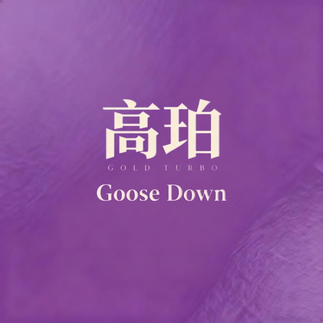 高珀G T（首播-鹅绒服专场）