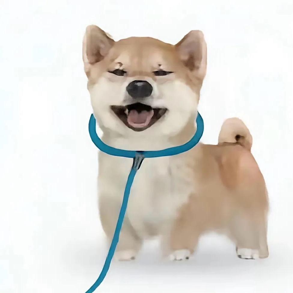 Sodaaaaa（见过陶喆版）