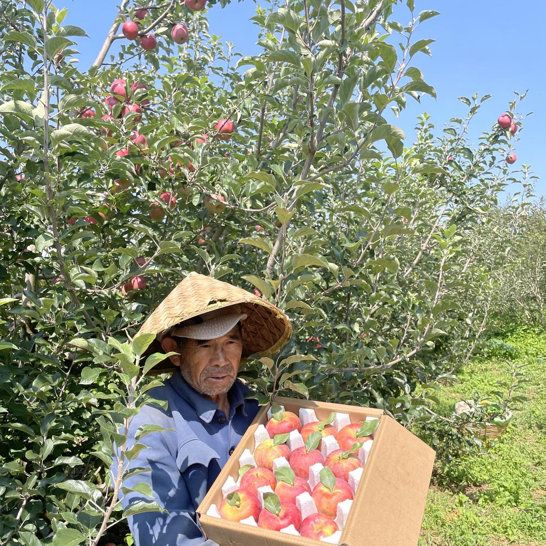 蔚县泊钦鲜品水果铺子