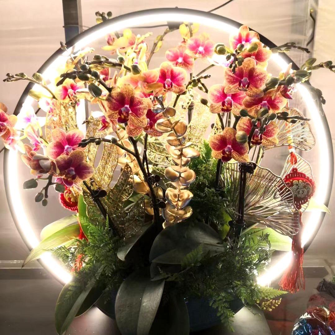 陌森-好物分享（老卢甄选）