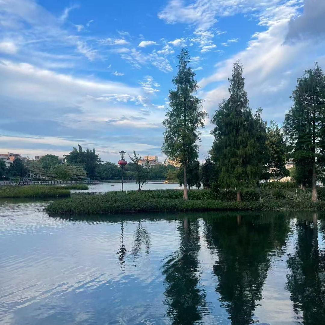 一流厨师👩‍🍳黄女士