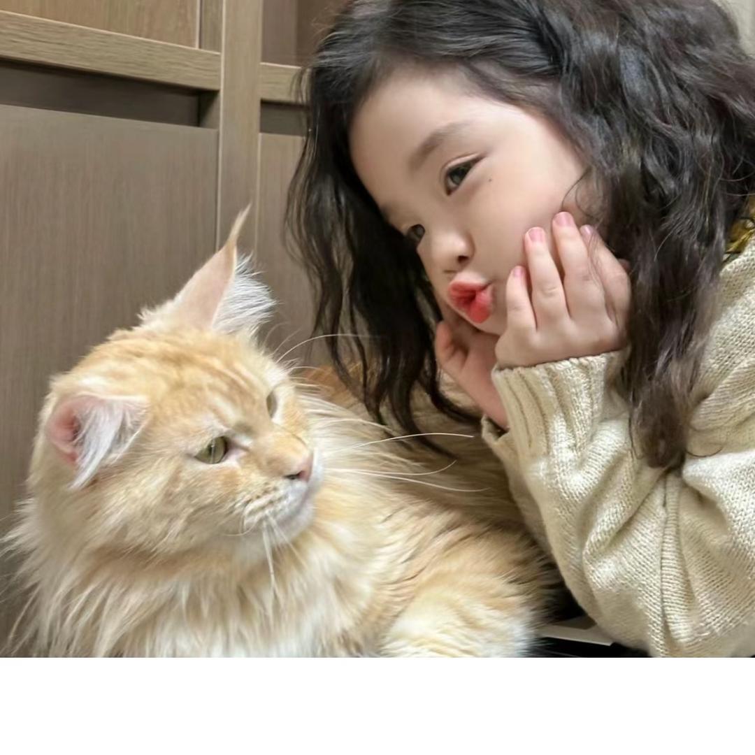整了个蒸蛋