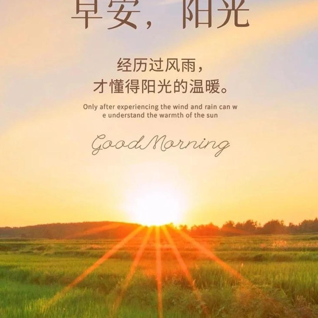 哈哈哈1258