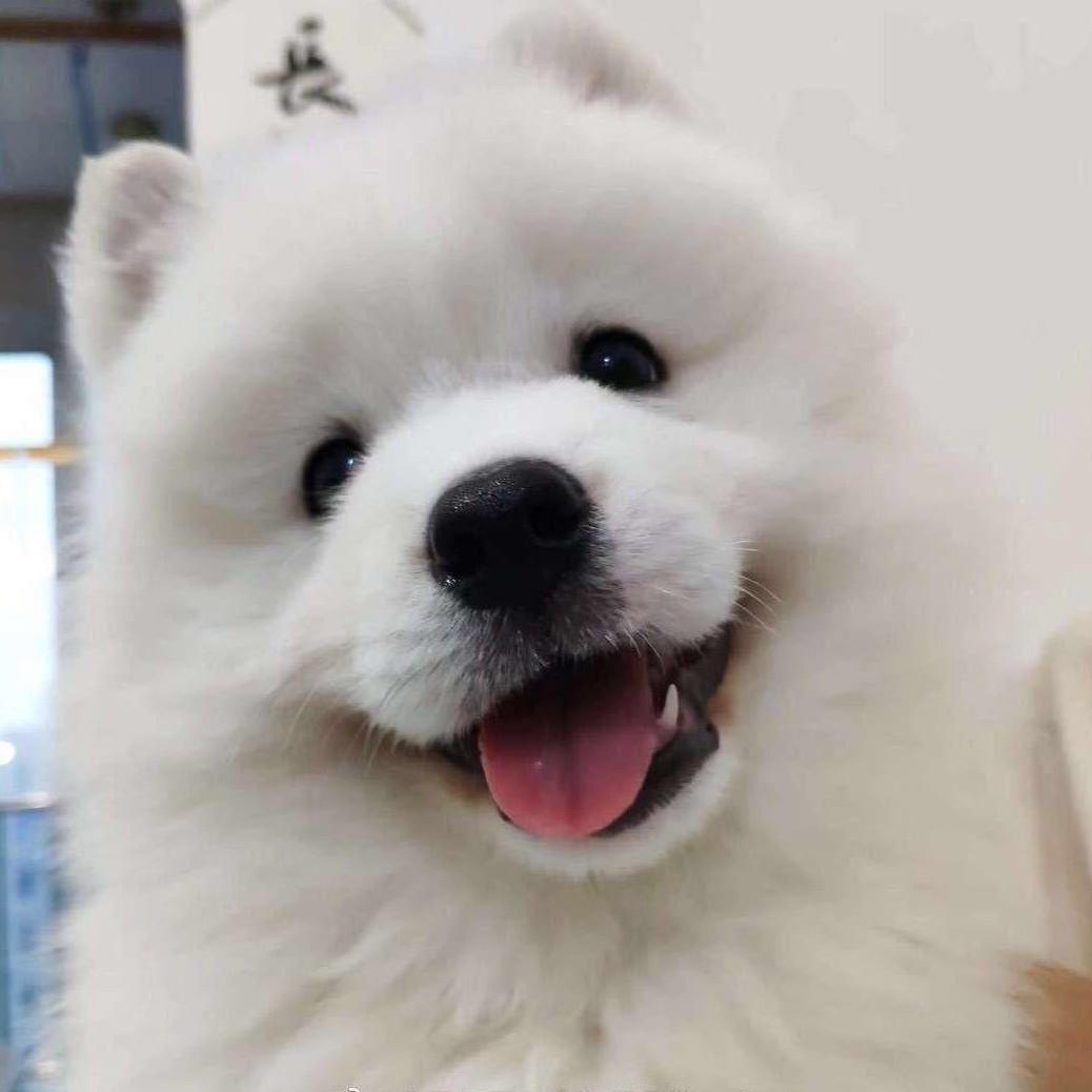 DD陈老师