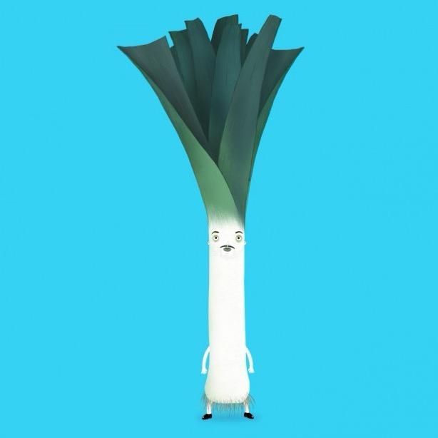 北风呼呼从哪来