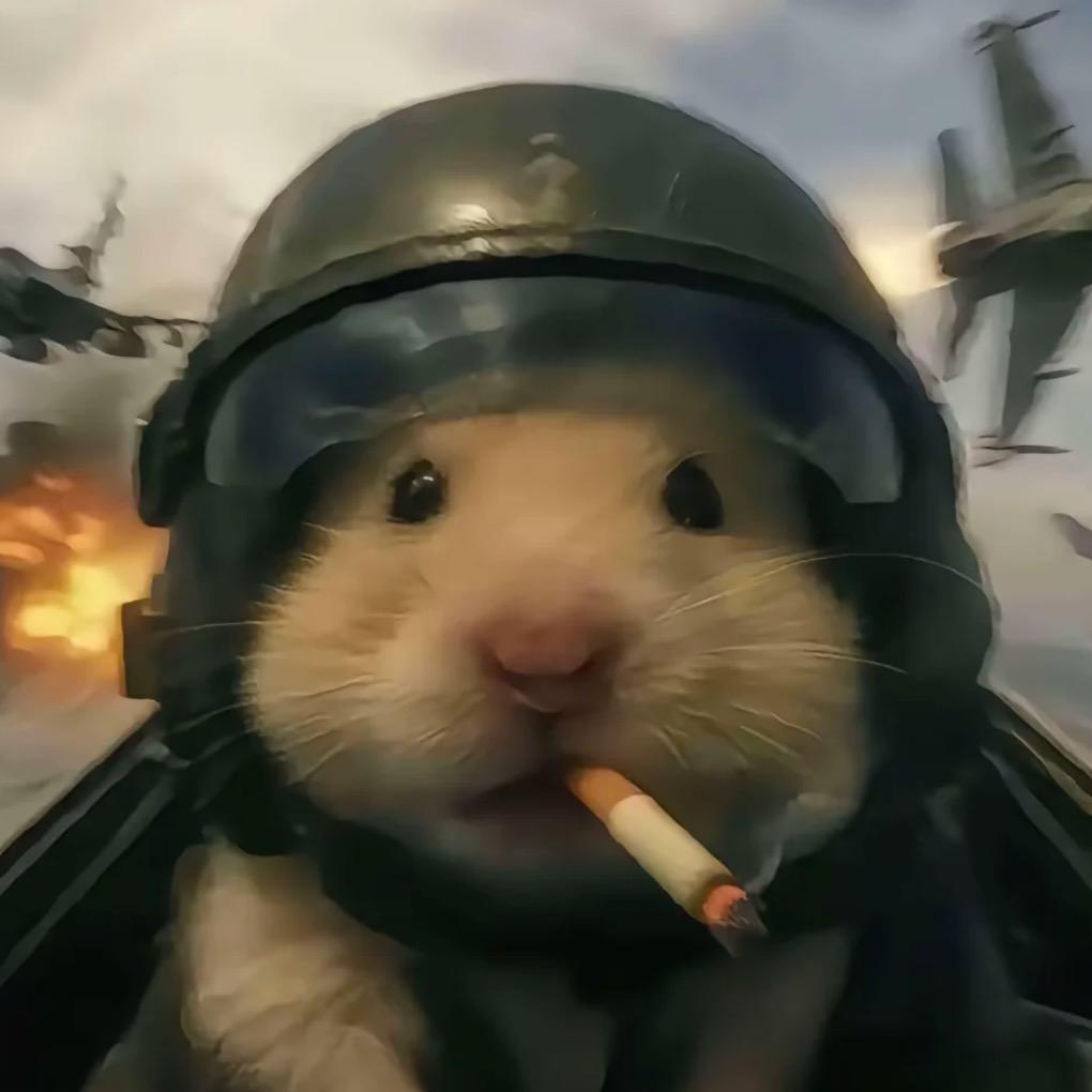 菠萝🍍（三角洲行动）