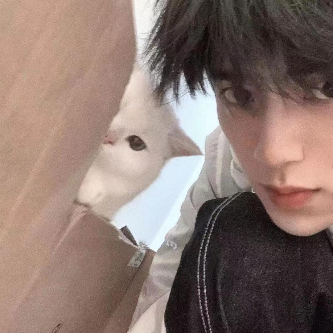 小吉好房 (厦门集美区)