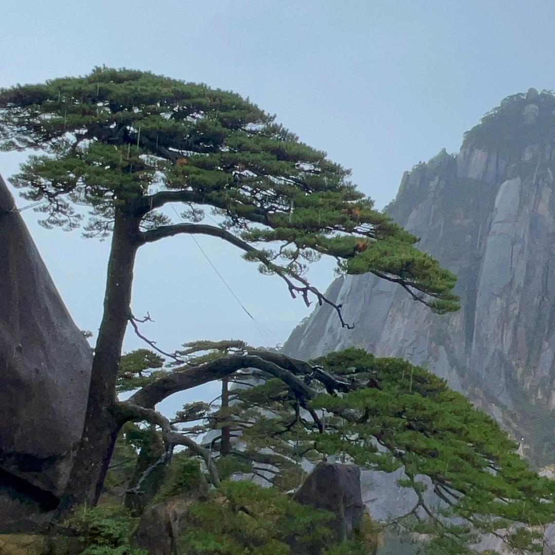 丰昌