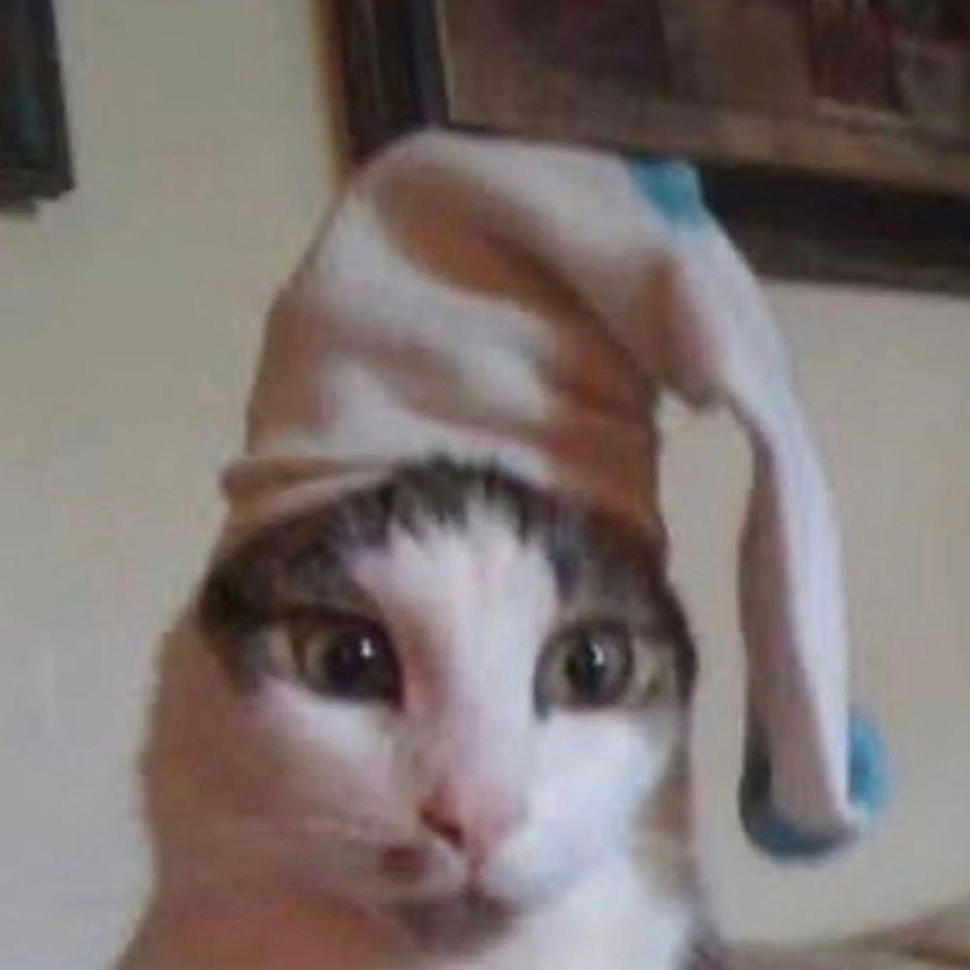 碌碌