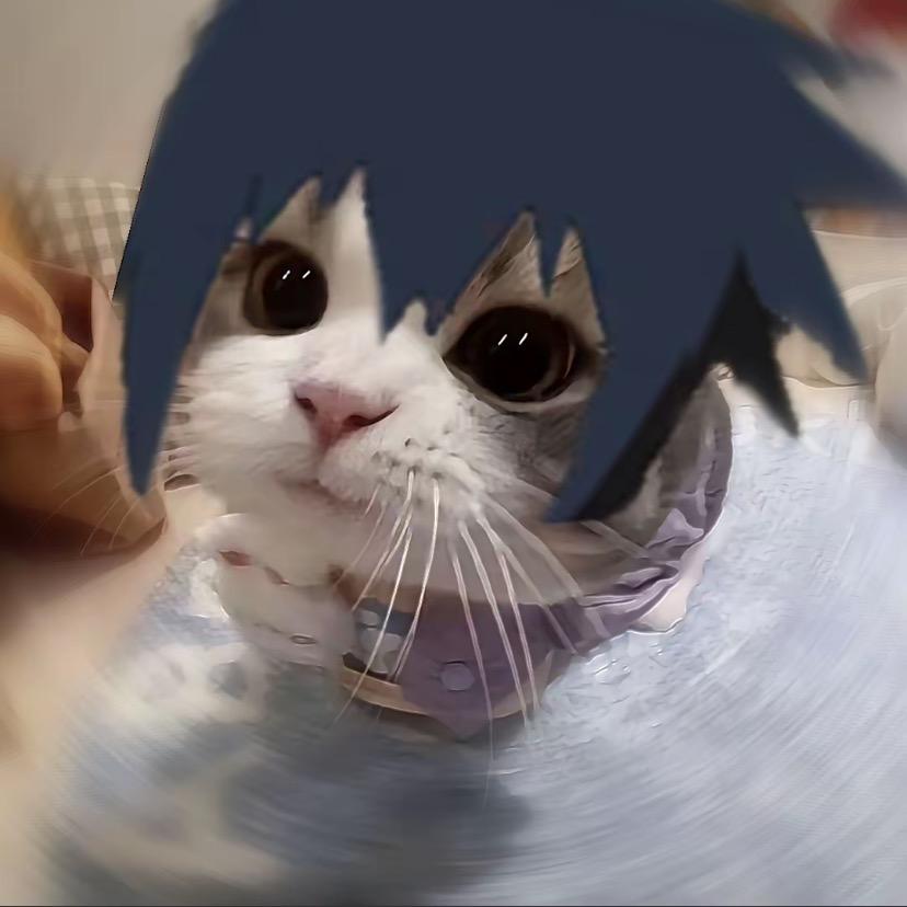 喵喵