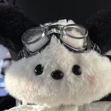 阳光照耀青春里