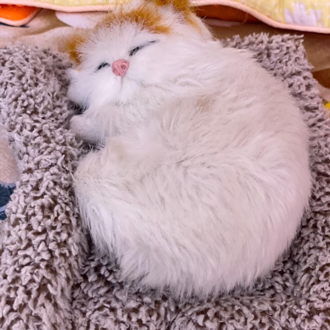 用户5377672330460