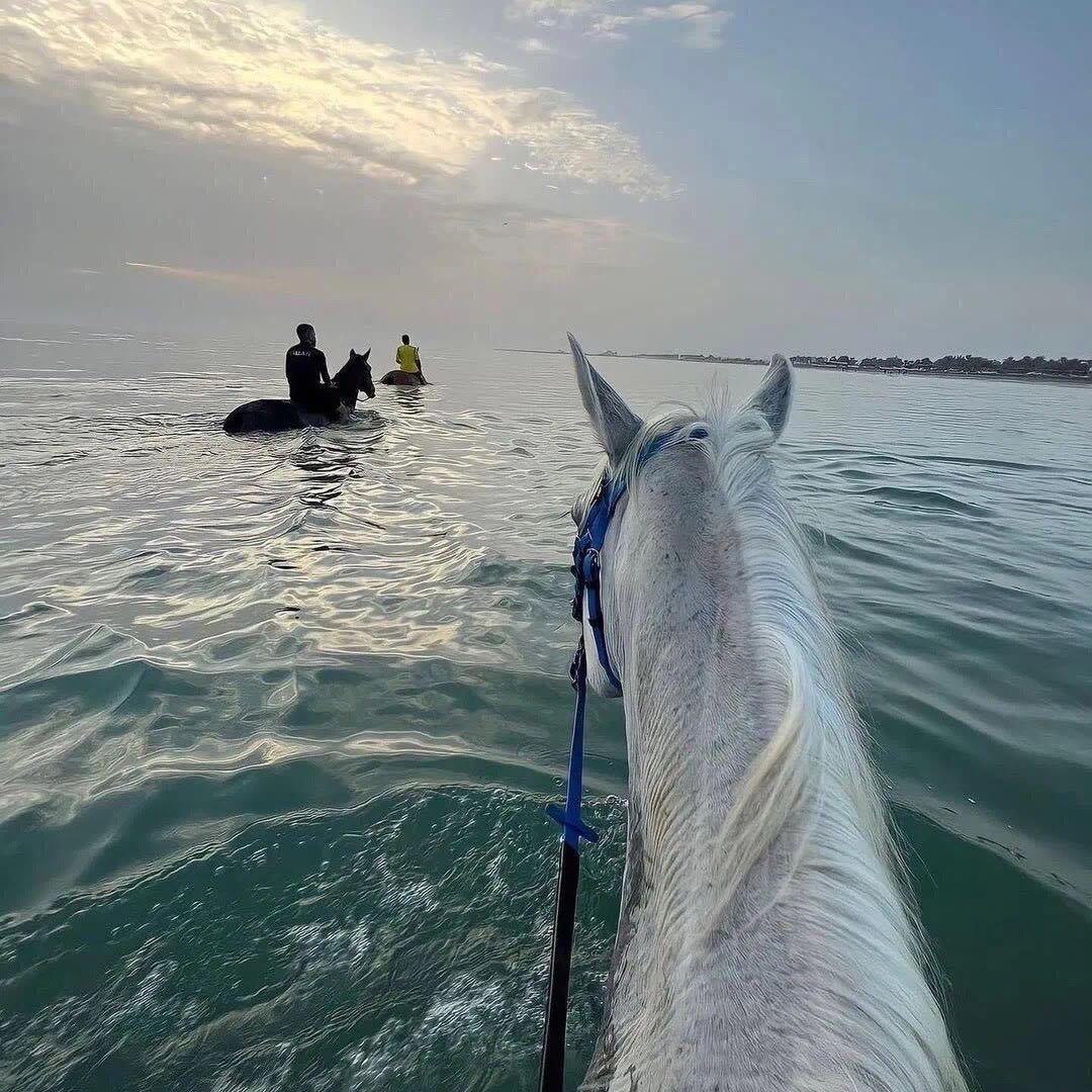 不开心就多吃点