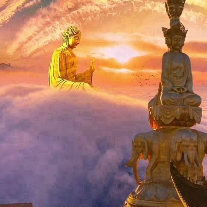 热心村民🇨🇳