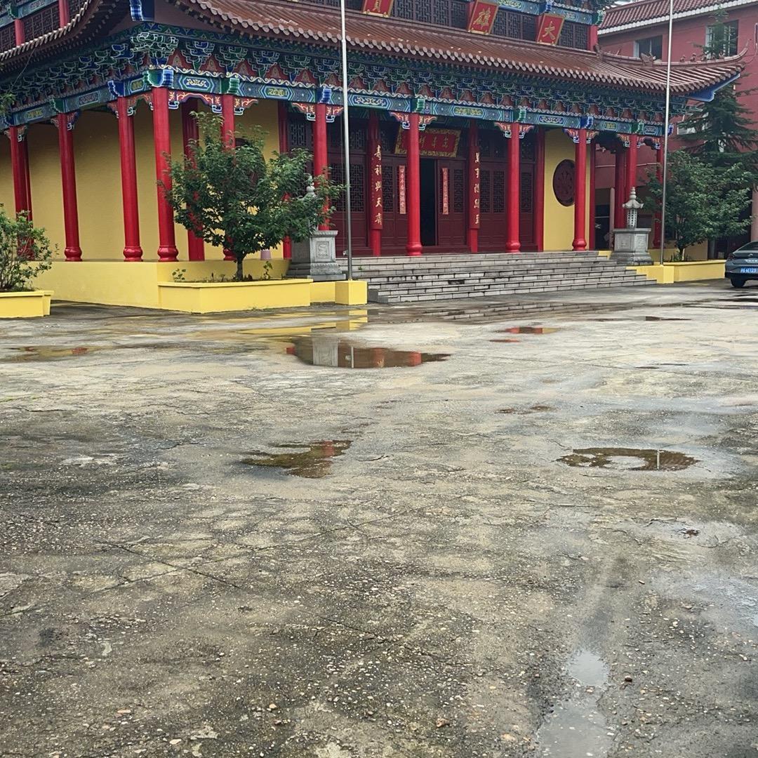 手心里的爱